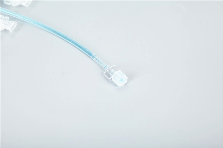 Validation of Cryopreservation Bags