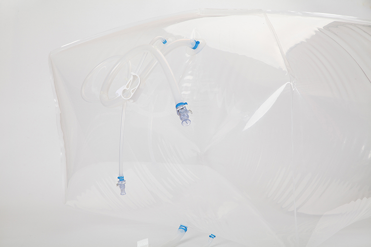 Bioprocess System Bags