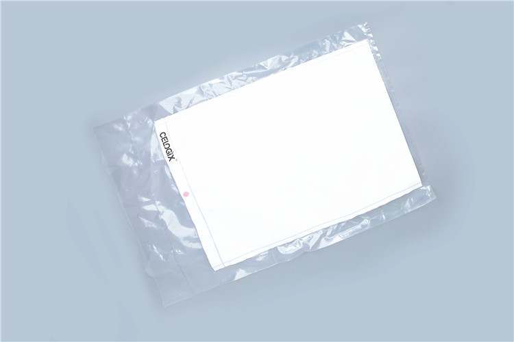 Cleansteam bag